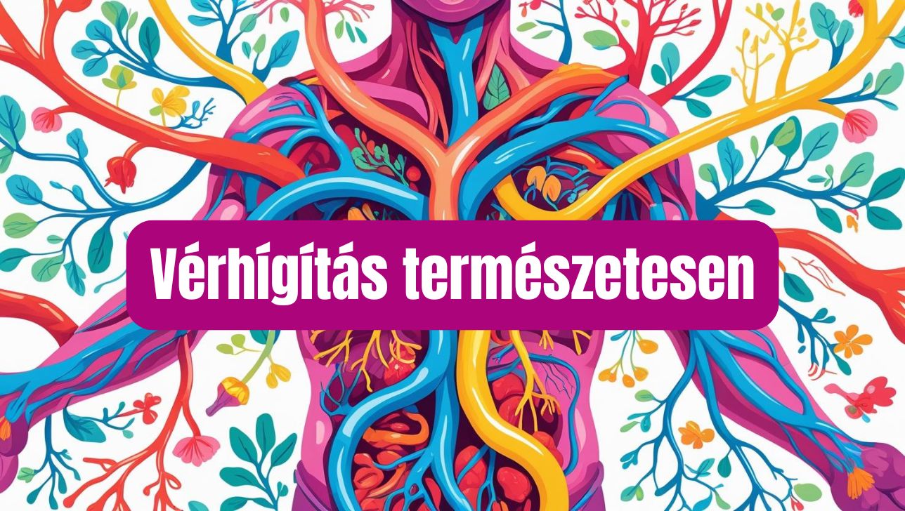 emberi érhálózat vérhígító