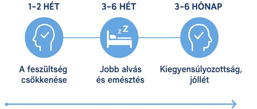 stresszoldó renovamax