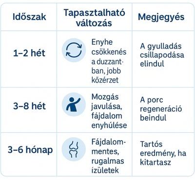 Időszak Tapasztalható változás Megjegyzés
1–2 hét Enyhe csökkenés a duzzanatban, jobb közérzet A gyulladás csillapodása elindul
3–8 hét Mozgás javulása, fájdalom enyhülése A porc regeneráció beindul
3–6 hónap Fájdalommentes, rugalmas ízületek Tartós eredmény, ha kitartasz